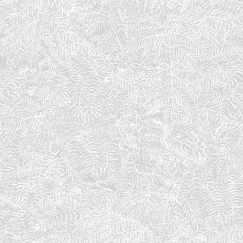 botanique_m_498-00