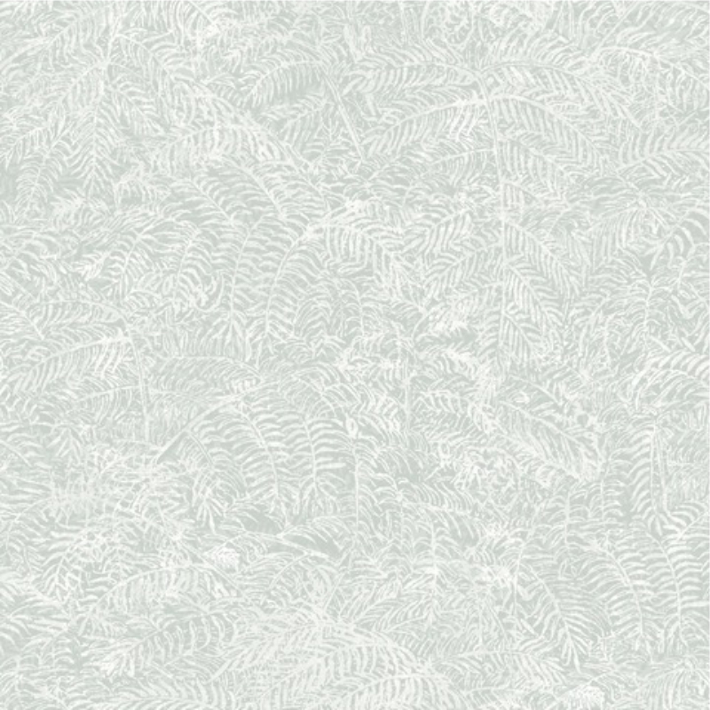 botanique_m_498-04